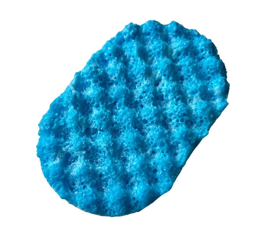 Blueberry & Vanilla Soap Sponge  image 1