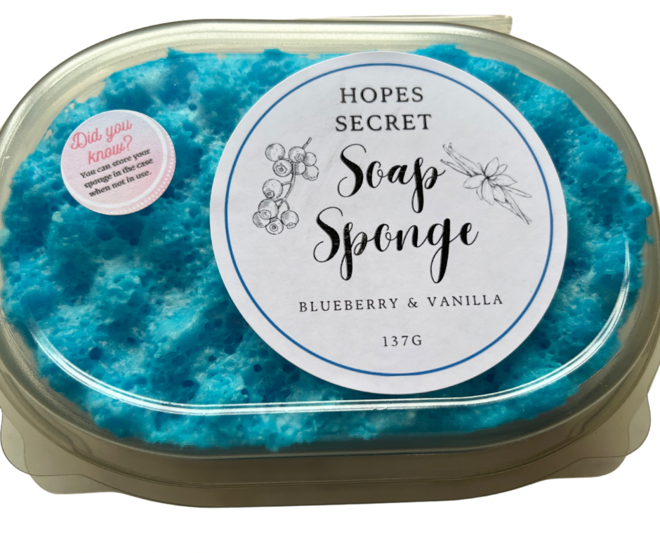 Blueberry & Vanilla Soap Sponge  image 0